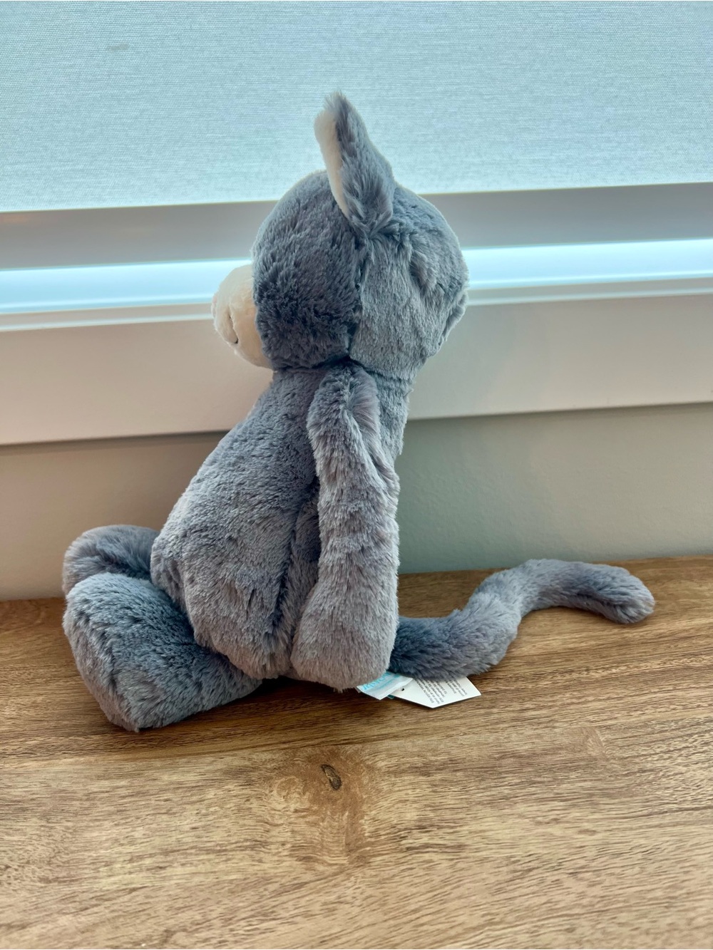 Jellycat Bashful Kitten BNWT - Picture 4 of 5